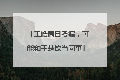 王皓周日考编，可能和王楚钦当同事